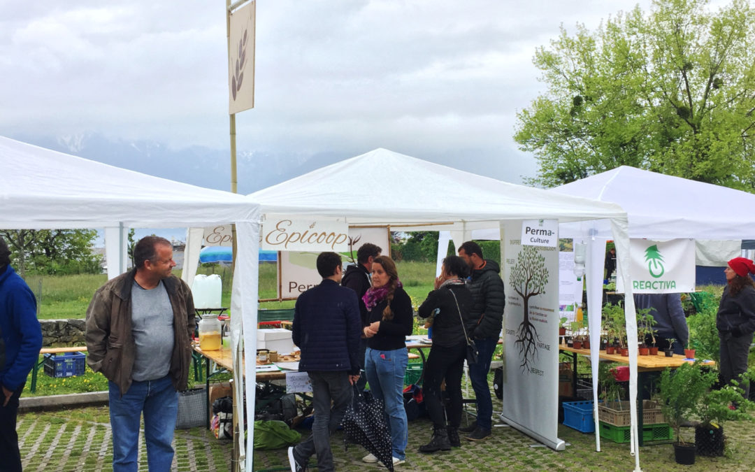 Epicoop au marché bio de Corsier-sur-Vevey 