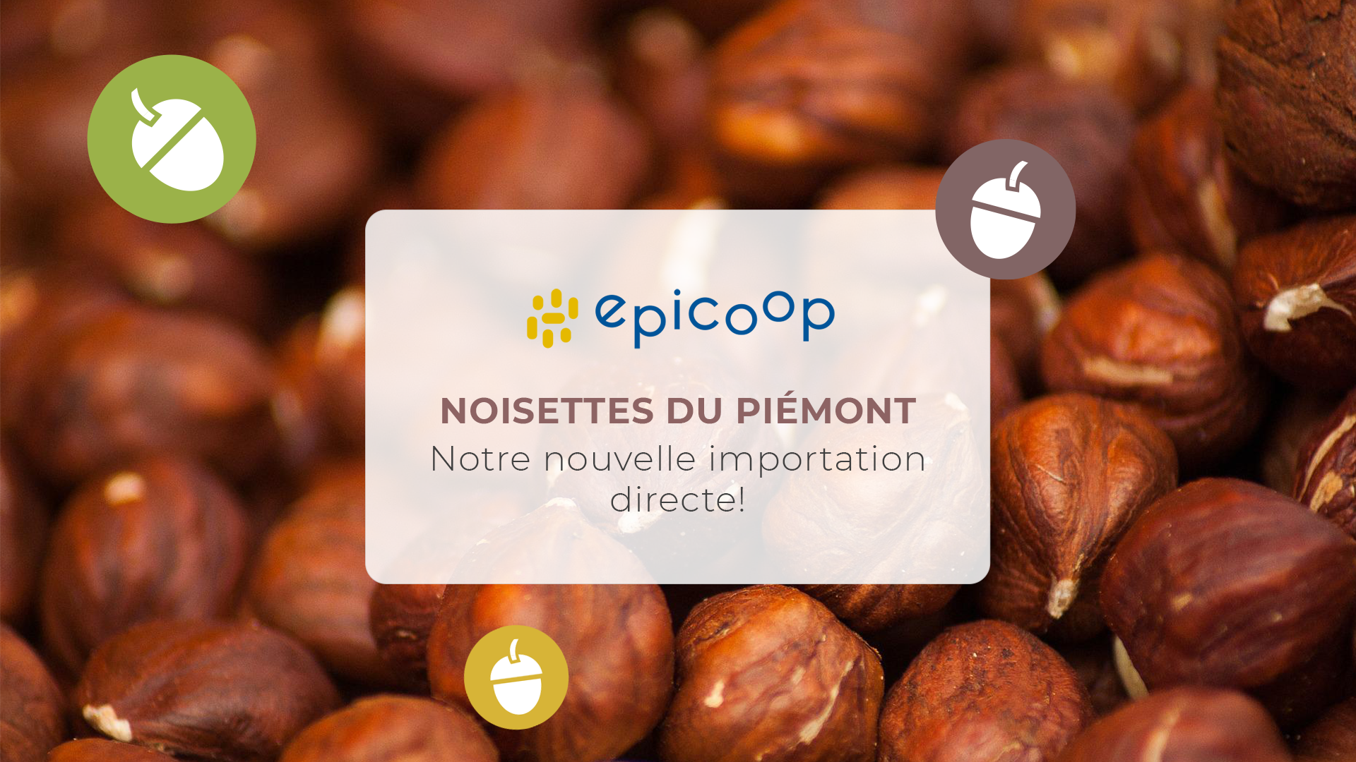 Les noisettes du Piémont en importation directe