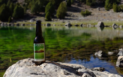 Nos producteurs #2 – La brasserie du Haut-Lac